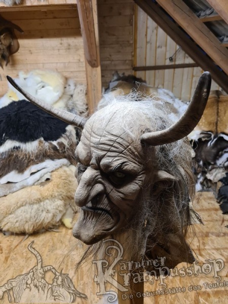 1 Paar Gaißhörner bis 25cm