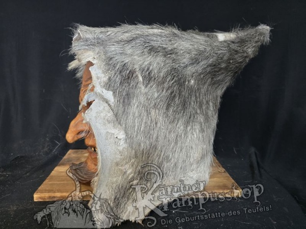 Kaputze GRAU Rassiert SPITZ nach HINTEN