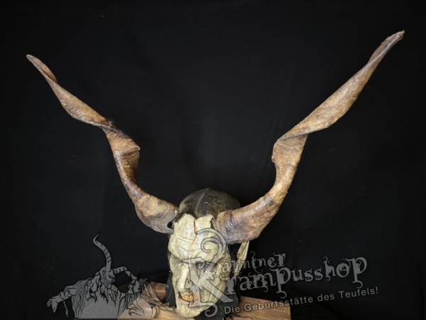 Ziegenbockhörner aus der Region Ampulien