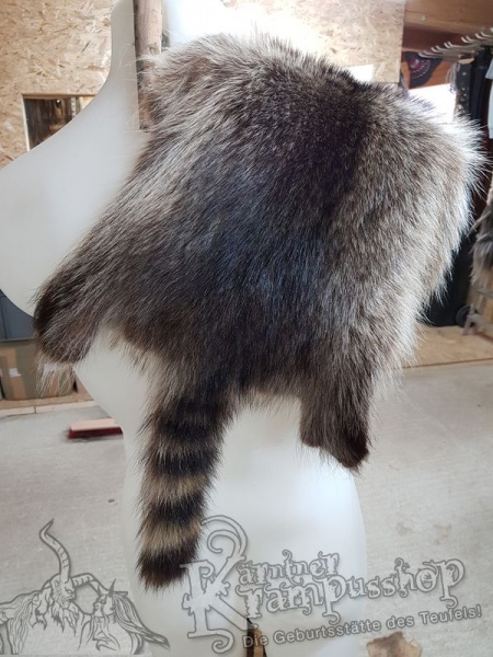 Waschbär Fell Natur