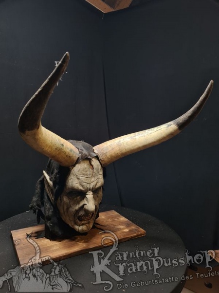 Watussi Rinderhörner