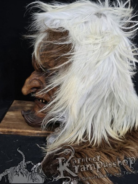 Langhaar Kopffelle Scheckig Hell