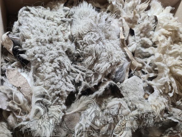 Weisse Fell Reste Schaf Heimisch Urig