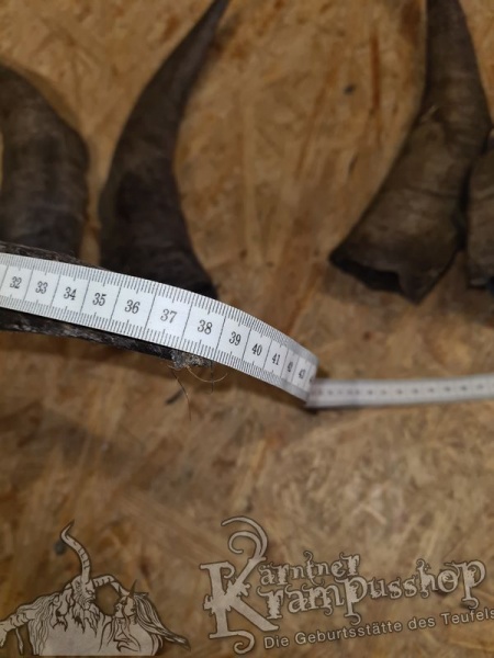 Bock Dunkel Kategorie E