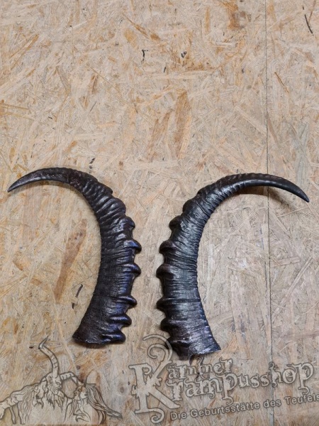 Arabischer Steinbock Model Nubia