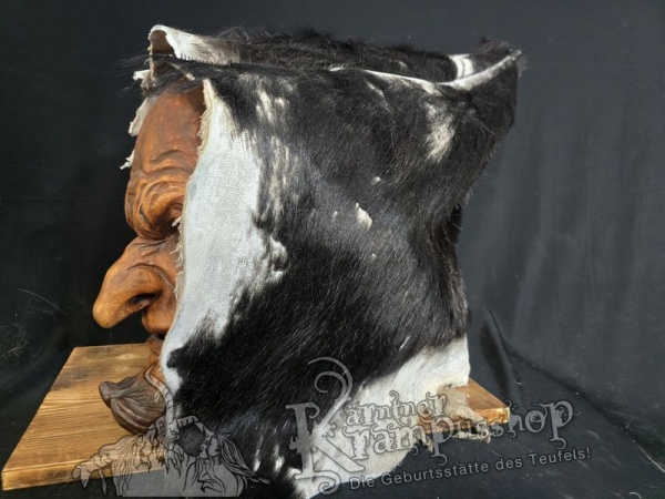 Kaputze BRAUN Rassiert SPITZ nach HINTEN