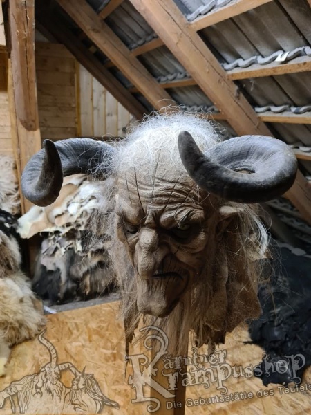 Widder Dunkel bis 40 cm