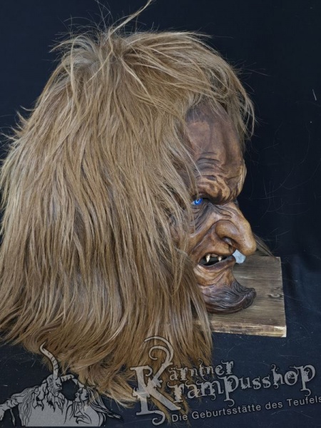 Langhaar Kopffelle Fuchsbraun