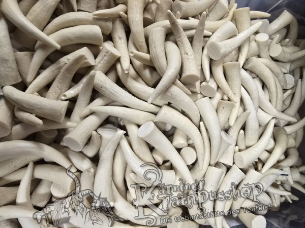 Krallen MITTEL Beige