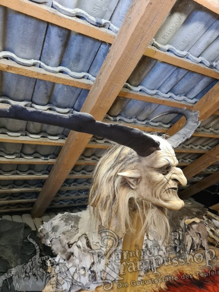 Türkischer Steinbock Bezoar Model AKI