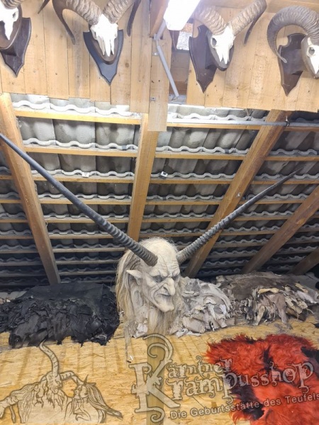 Orixantilope Paarweise