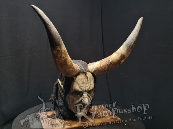 Watussi Rinderhörner