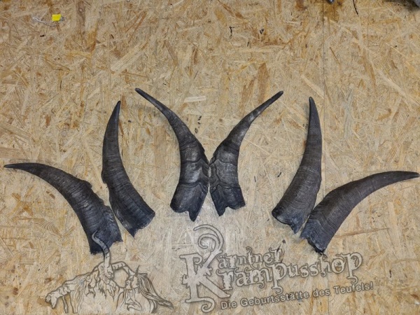 Bock Dunkel Kategorie F