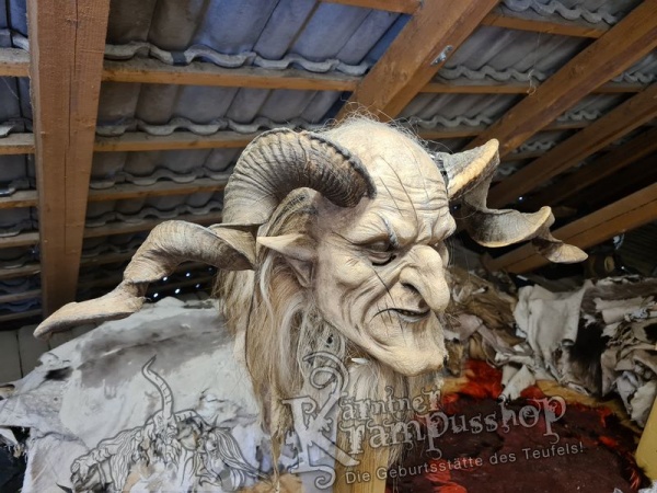 Heimische Widder NATUR Gerade gewachsen