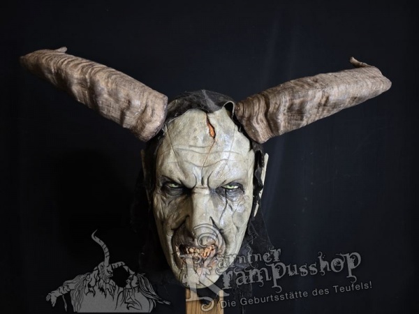 Ostkaukasischer Steinbock