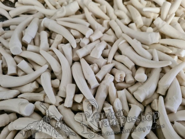 Stiftzähne Gemischt für den Maskeneinbau