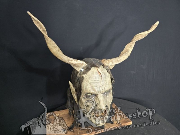 Zackelschaf Hörner Hell