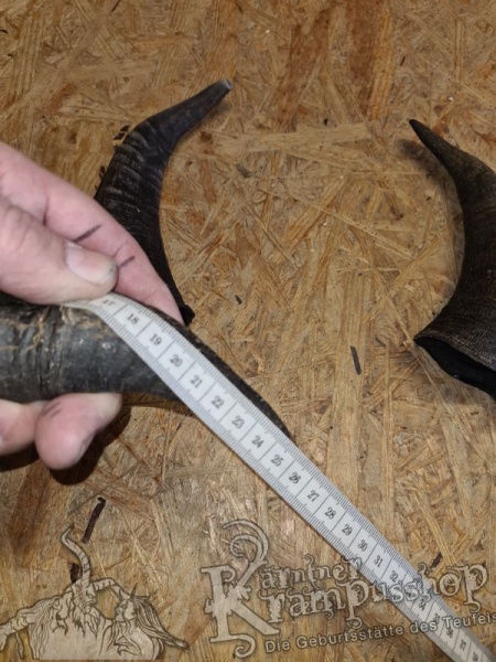 Bock Dunkel Kategorie C