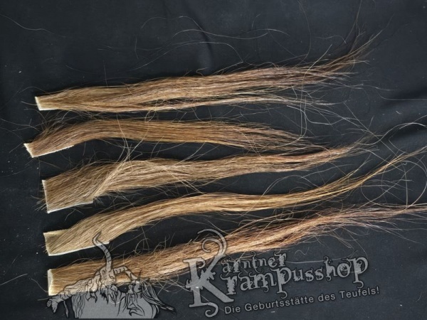 Zugeschnittene Pferdeschweif Strähnen Braun