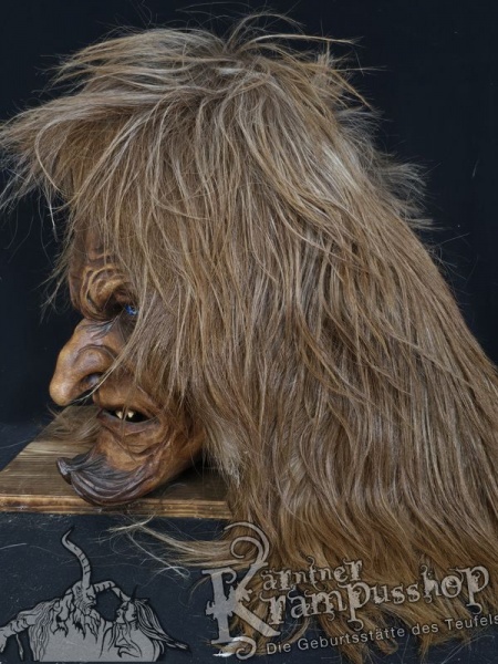 Langhaar Kopffelle Fuchsbraun