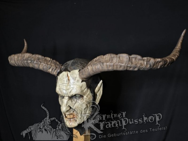 Spanischer Steinbock