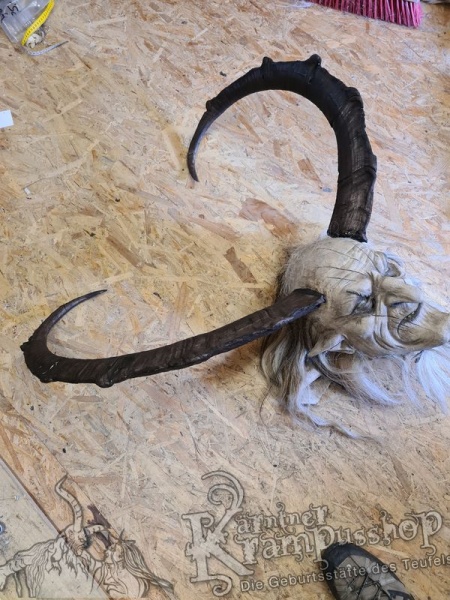 Türkischer Steinbock Bezoar Model Sidal