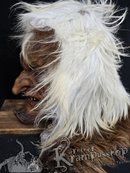 Langhaar Kopffelle Scheckig Hell