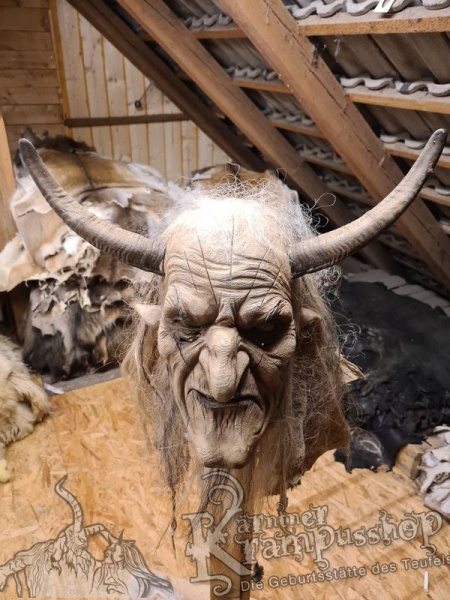 1 Paar Gaißhörner bis 25cm