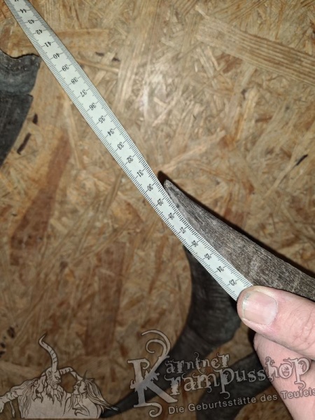 Bock Dunkel Kategorie D