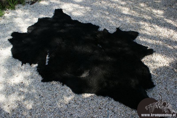 Schaffelle Kurz Schwarz Gefärbt