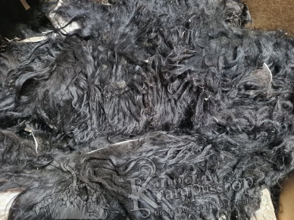 Naturschwarze Fell Reste Islandschaf Langhaar