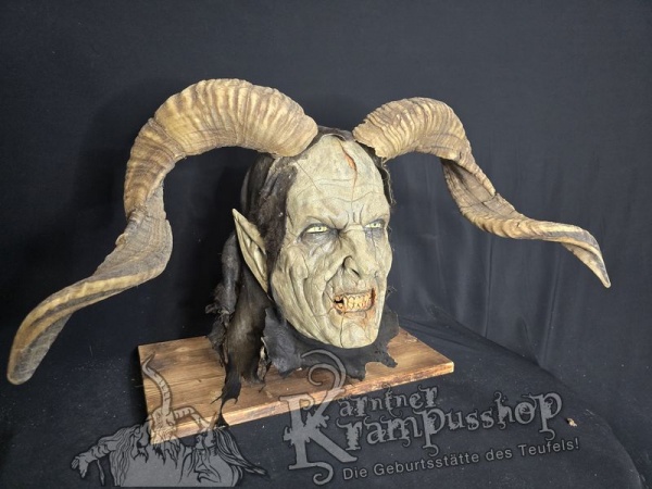 Hochland Widderhörner