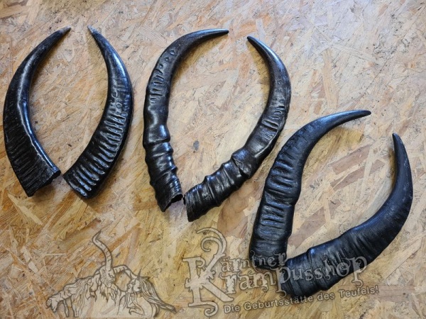 Wasserbüffel Kategorie B