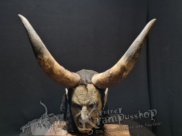 Watussi Rinderhörner