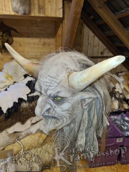 1 Paar Kuhhörner Mittel