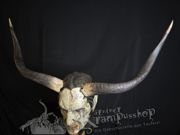 Nyala Antilope gross