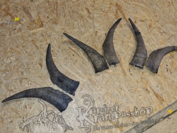 Bock Dunkel Kategorie E