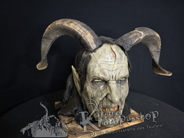 Widder Leicht Eingedreht Gewachsen 40