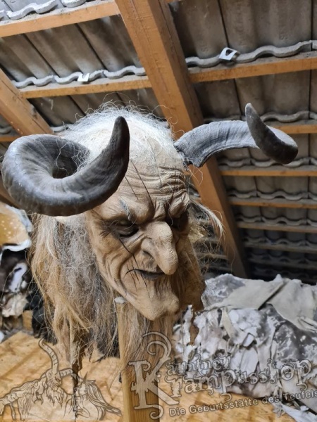 Widder Dunkel bis 40 cm