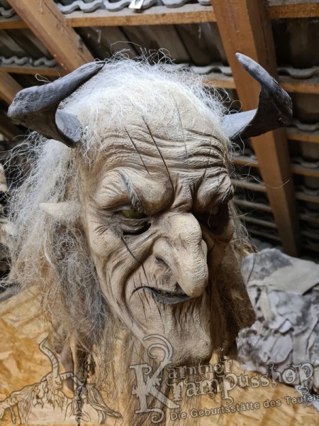 Heimische Widder Dunkel bis 20cm