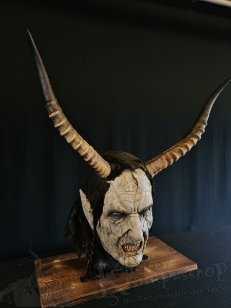 1 Paar Blessbockhörner Männlich