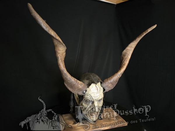 Ziegenbockhörner aus der Region Ampulien