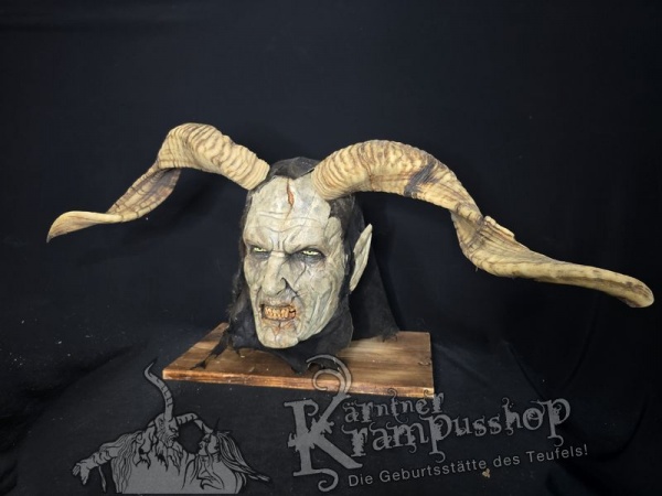 Hochland Widderhörner