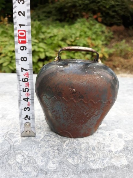 Froschmaulglocken Blank