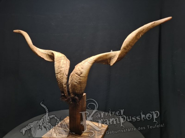 Ziegenbock mit Schädel aus der Region Apulien