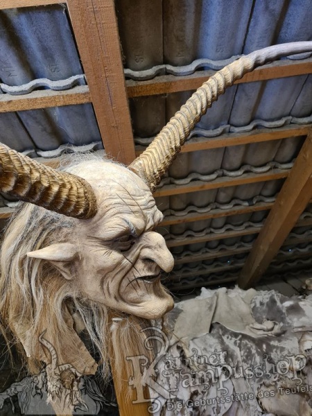 Afrikanische Wasserbock Hörner