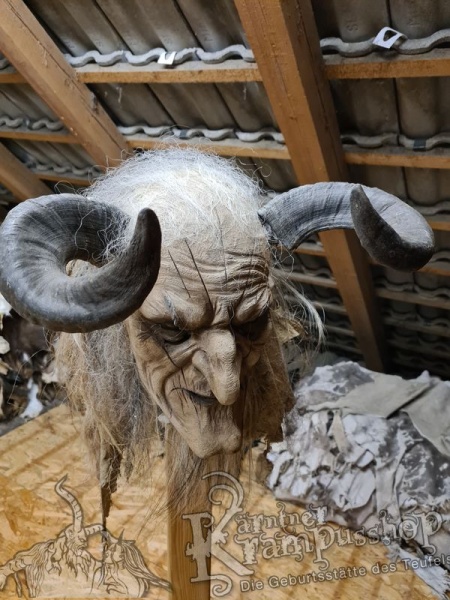 Widder Dunkel bis 40 cm