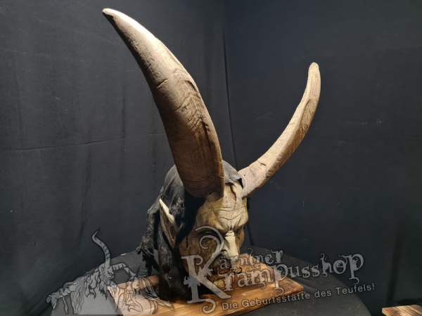 Ziegenbockhörner aus dem Aosta Tal