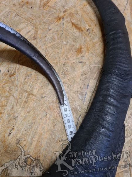 Türkischer Steinbock Bezoar Model AKI