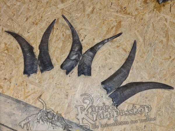 Bock Dunkel Kategorie F